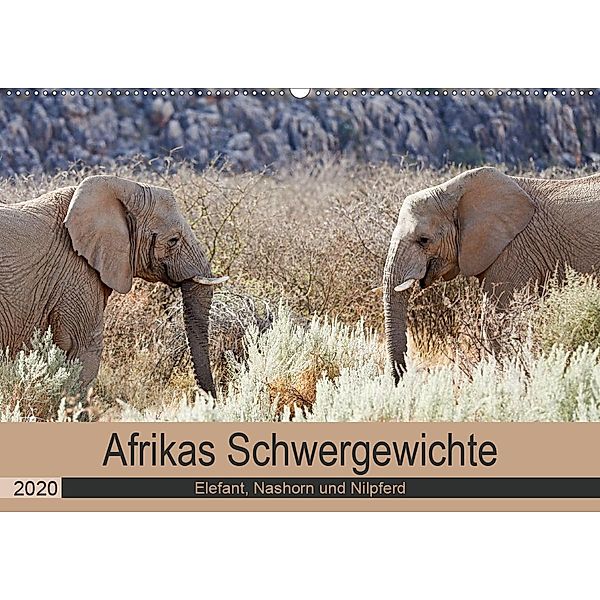 Afrikas Schwergewichte Elefant, Nashorn und Nilpferd (Wandkalender 2020 DIN A2 quer), Britta Kärcher