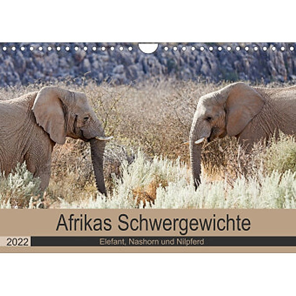 Afrikas Schwergewichte  Elefant, Nashorn und Nilpferd (Wandkalender 2022 DIN A4 quer), Britta Kärcher