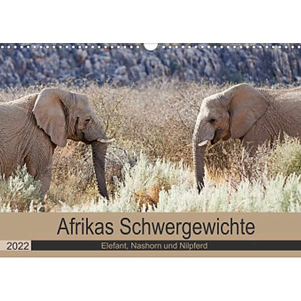 Afrikas Schwergewichte  Elefant, Nashorn und Nilpferd (Wandkalender 2022 DIN A3 quer), Britta Kärcher
