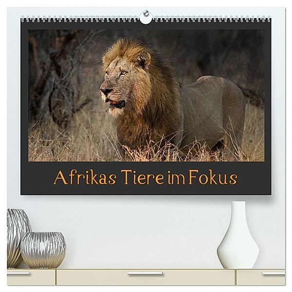 Afrikas Tiere im Fokus (hochwertiger Premium Wandkalender 2024 DIN A2 quer), Kunstdruck in Hochglanz, Johann Schörkhuber
