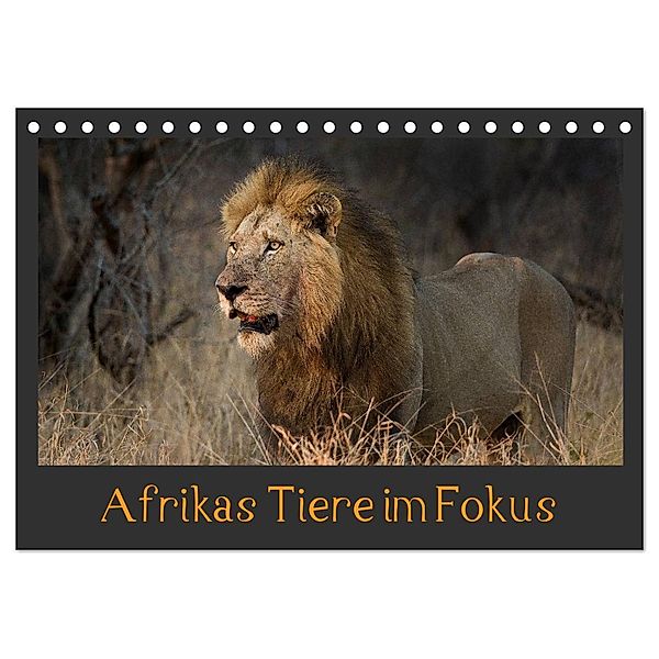 Afrikas Tiere im Fokus (Tischkalender 2024 DIN A5 quer), CALVENDO Monatskalender, Johann Schörkhuber