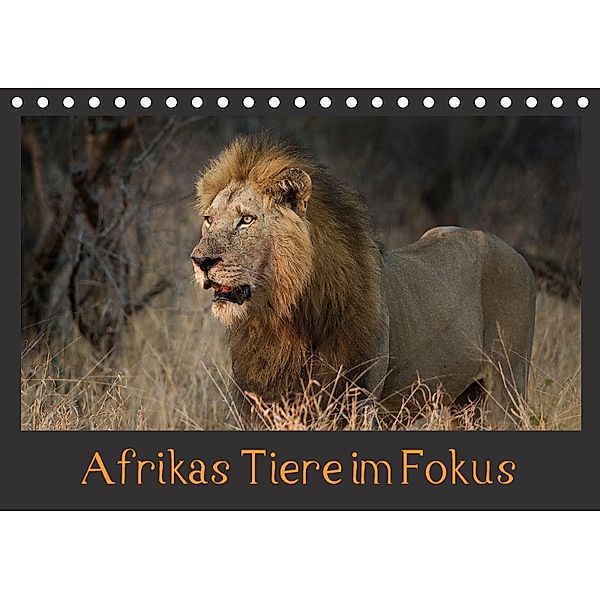 Afrikas Tiere im FokusAT-Version (Tischkalender 2018 DIN A5 quer) Dieser erfolgreiche Kalender wurde dieses Jahr mit gle, Johann Schörkhuber