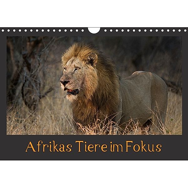 Afrikas Tiere im FokusAT-Version (Wandkalender 2018 DIN A4 quer) Dieser erfolgreiche Kalender wurde dieses Jahr mit glei, Johann Schörkhuber