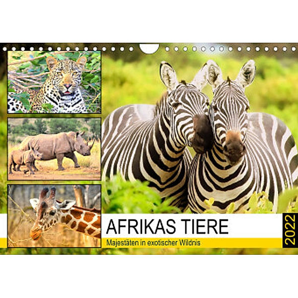 Afrikas Tiere. Majestäten in exotischer Wildnis (Wandkalender 2022 DIN A4 quer), Rose Hurley