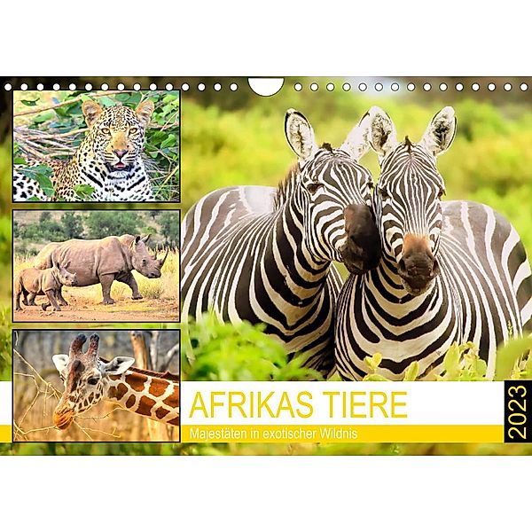 Afrikas Tiere. Majestäten in exotischer Wildnis (Wandkalender 2023 DIN A4 quer), Rose Hurley