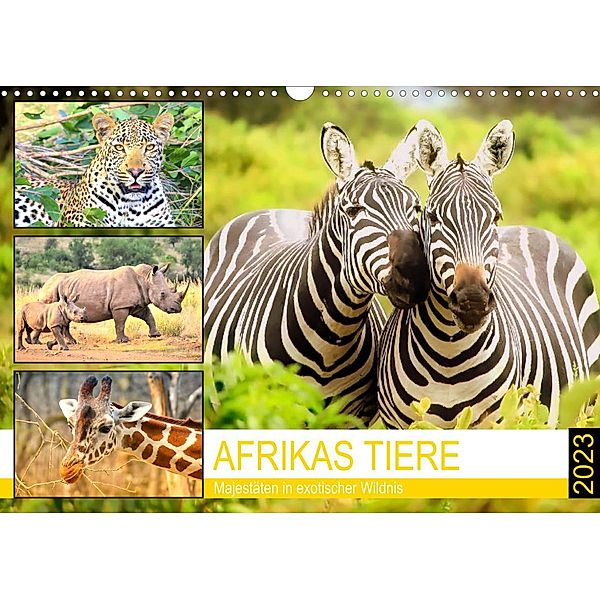 Afrikas Tiere. Majestäten in exotischer Wildnis (Wandkalender 2023 DIN A3 quer), Rose Hurley