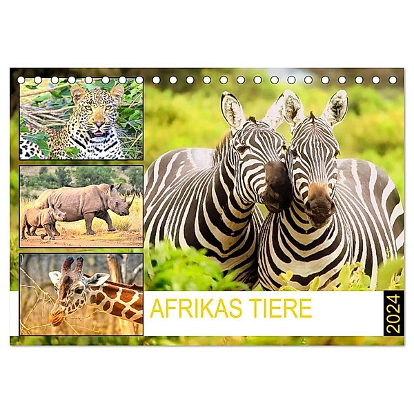 Afrikas Tiere. Majestäten in exotischer Wildnis (Tischkalender 2024 DIN A5 quer), CALVENDO Monatskalender, Rose Hurley