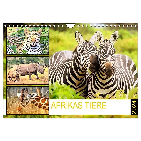Afrikas Tiere. Majestäten in exotischer Wildnis (Wandkalender 2024 DIN A4 quer), CALVENDO Monatskalender, Rose Hurley