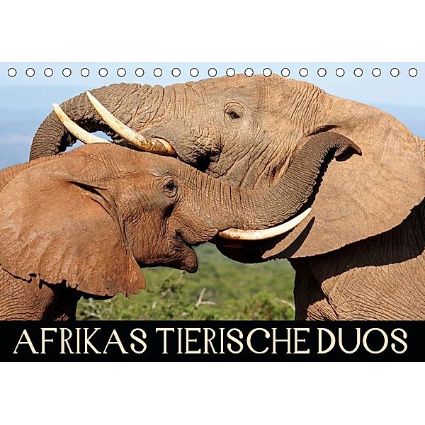 AFRIKAS TIERISCHE DUOS (Tischkalender 2021 DIN A5 quer), Wibke Woyke