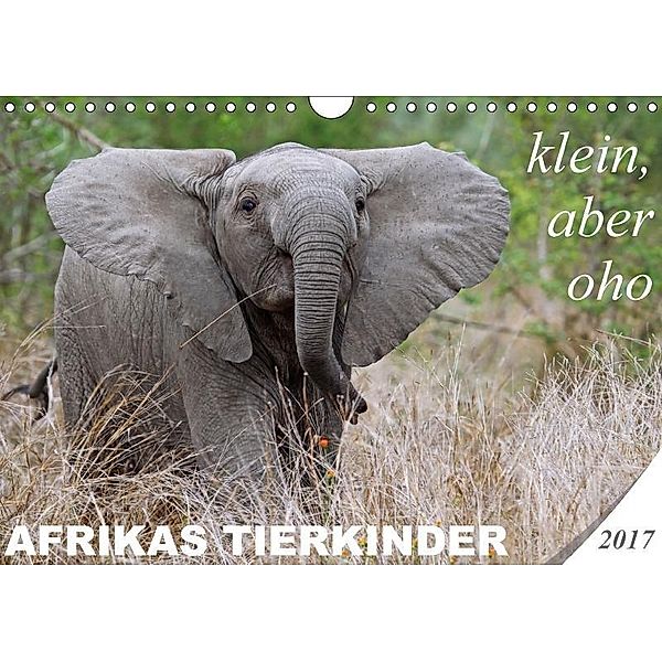 AFRIKAS TIERKINDER - klein, aber oho (Wandkalender 2017 DIN A4 quer), Wibke Woyke