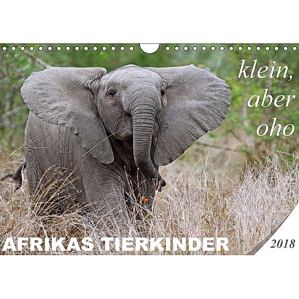 AFRIKAS TIERKINDER - klein, aber oho (Wandkalender 2018 DIN A4 quer), Wibke Woyke