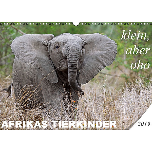AFRIKAS TIERKINDER - klein, aber oho (Wandkalender 2019 DIN A3 quer), Wibke Woyke