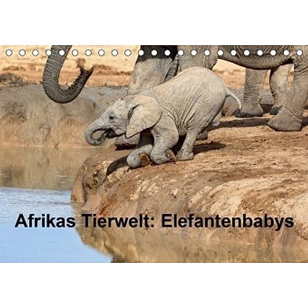 Afrikas Tierwelt: Elefantenbabys (Tischkalender 2020 DIN A5 quer), Michael Voß