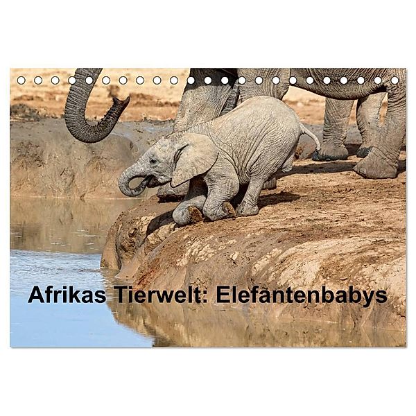 Afrikas Tierwelt: Elefantenbabys (Tischkalender 2024 DIN A5 quer), CALVENDO Monatskalender, Michael Voss