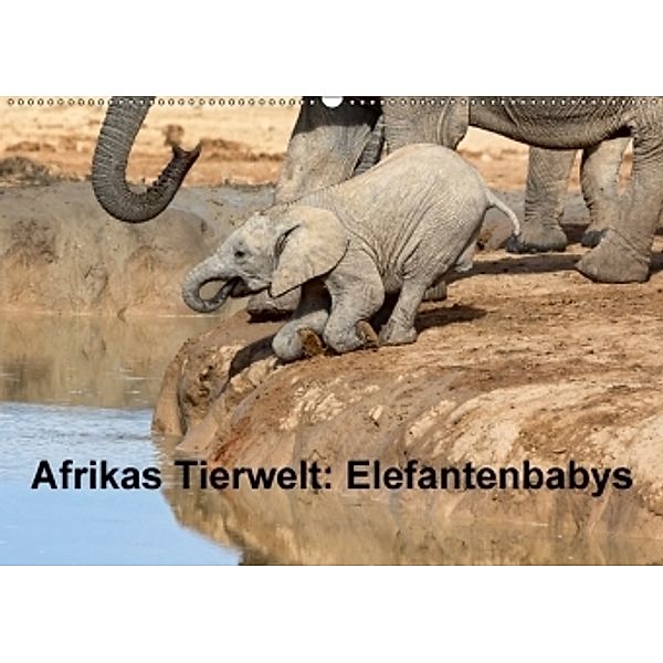 Afrikas Tierwelt: Elefantenbabys (Wandkalender 2017 DIN A2 quer), Michael Voß