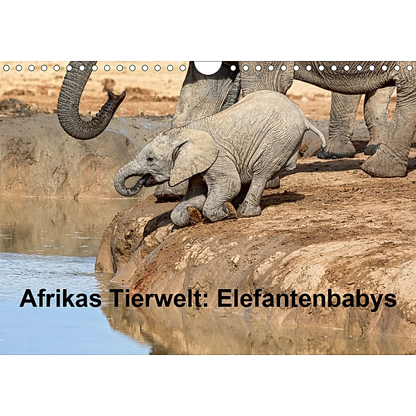 Afrikas Tierwelt: Elefantenbabys (Wandkalender 2020 DIN A4 quer), Michael Voß
