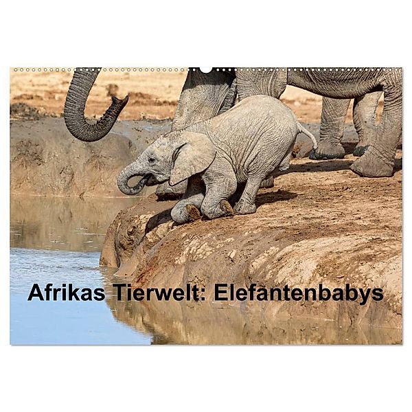 Afrikas Tierwelt: Elefantenbabys (Wandkalender 2024 DIN A2 quer), CALVENDO Monatskalender, Michael Voss