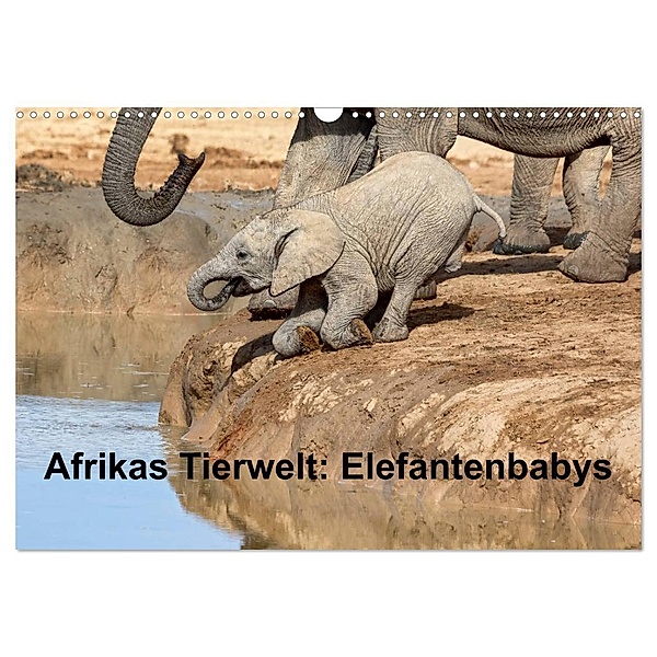 Afrikas Tierwelt: Elefantenbabys (Wandkalender 2024 DIN A3 quer), CALVENDO Monatskalender, Michael Voss