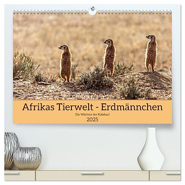 Afrikas Tierwelt - Erdmännchen (hochwertiger Premium Wandkalender 2025 DIN A2 quer), Kunstdruck in Hochglanz, Calvendo, Michael Voß