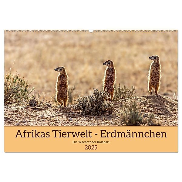 Afrikas Tierwelt - Erdmännchen (Wandkalender 2025 DIN A2 quer), CALVENDO Monatskalender, Calvendo, Michael Voß