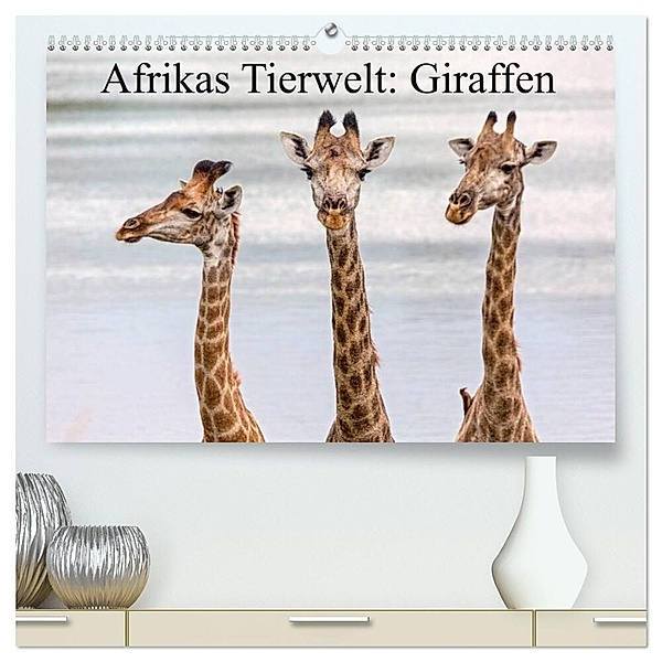 Afrikas Tierwelt: Giraffen (hochwertiger Premium Wandkalender 2024 DIN A2 quer), Kunstdruck in Hochglanz, Michael Voß