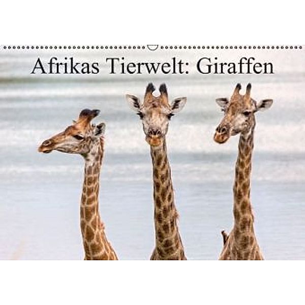 Afrikas Tierwelt: Giraffen (Wandkalender 2015 DIN A2 quer), Michael Voß