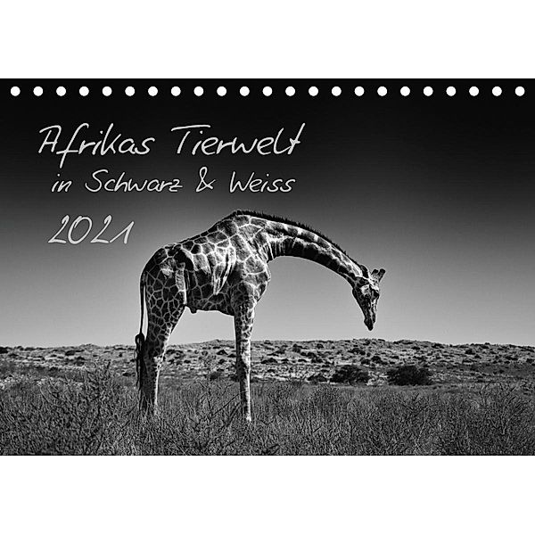 Afrikas Tierwelt in Schwarz & Weiss / CH-Version (Tischkalender 2021 DIN A5 quer), Kirsten Karius