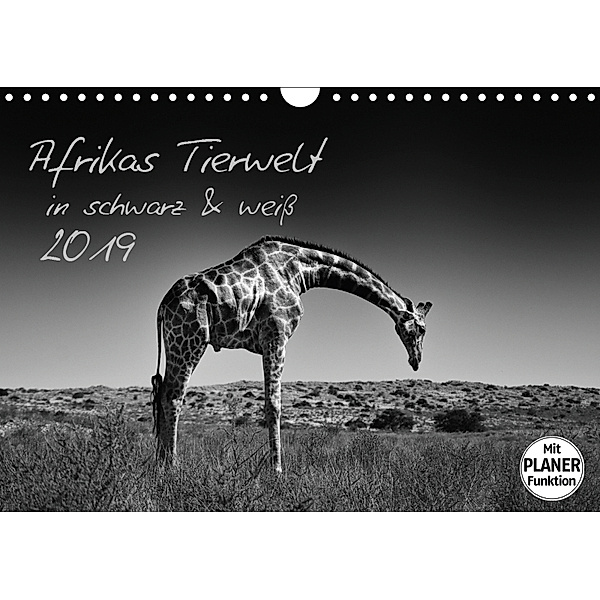 Afrikas Tierwelt in schwarz & weiß (Wandkalender 2019 DIN A4 quer), Kirsten Karius