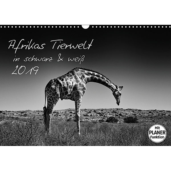 Afrikas Tierwelt in schwarz & weiss (Wandkalender 2019 DIN A3 quer), Kirsten Karius