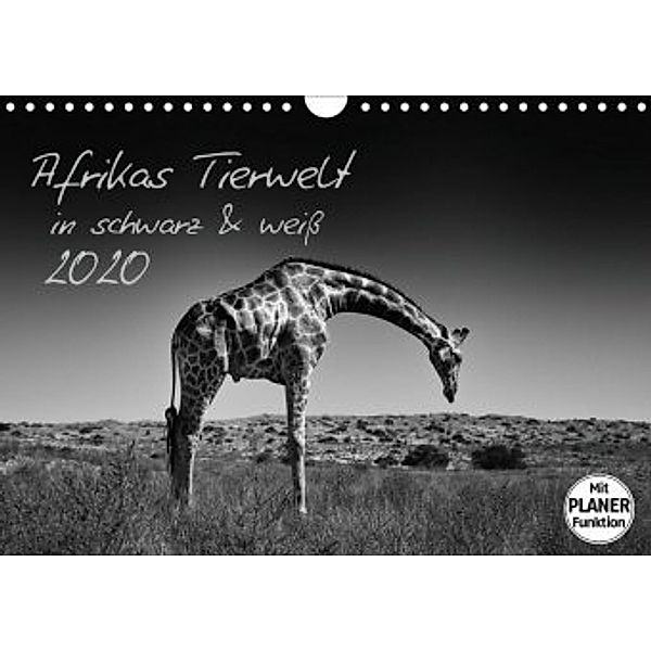 Afrikas Tierwelt in schwarz & weiss (Wandkalender 2020 DIN A4 quer), Kirsten Karius, Holger Karius