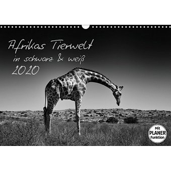 Afrikas Tierwelt in schwarz & weiss (Wandkalender 2020 DIN A3 quer), Kirsten Karius, Holger Karius
