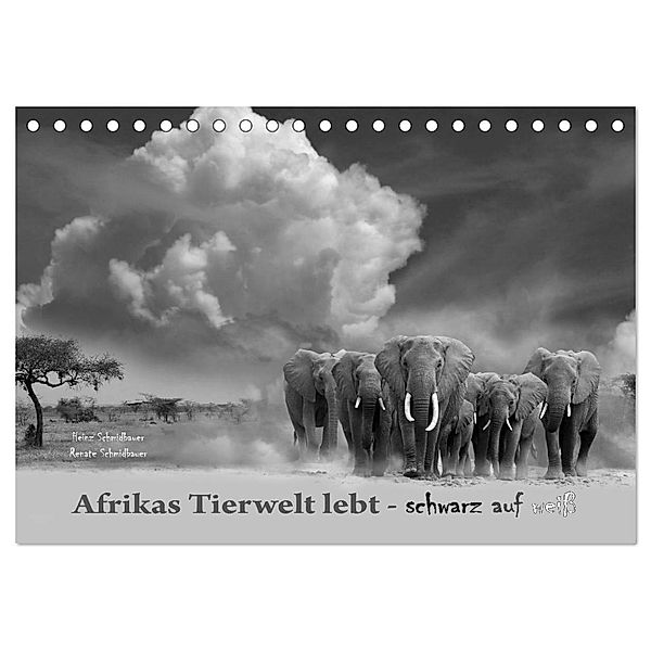 Afrikas Tierwelt lebt - schwarz auf weiß (Tischkalender 2024 DIN A5 quer), CALVENDO Monatskalender, Renate Schmidbauer, Heinz Schmidbauer