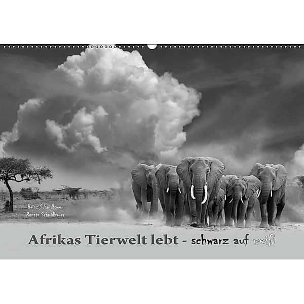 Afrikas Tierwelt lebt - schwarz auf weiß (Wandkalender 2018 DIN A2 quer), Heinz Schmidbauer