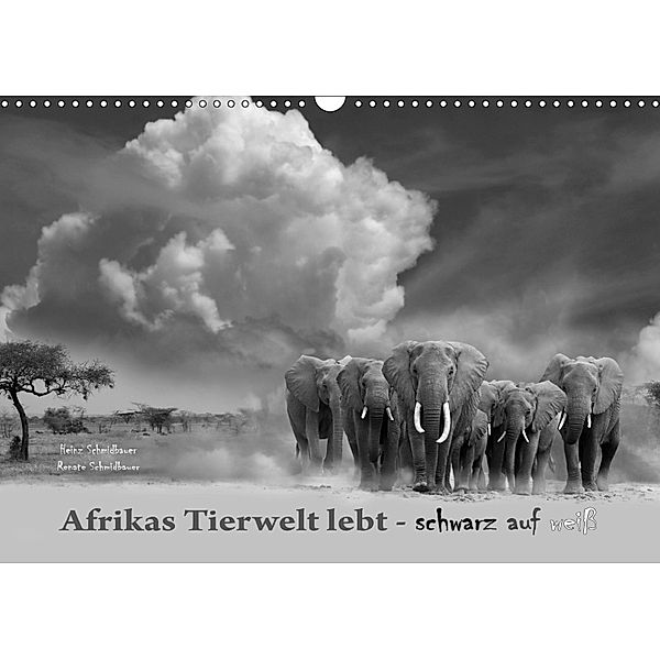 Afrikas Tierwelt lebt - schwarz auf weiß (Wandkalender 2019 DIN A3 quer), Heinz Schmidbauer