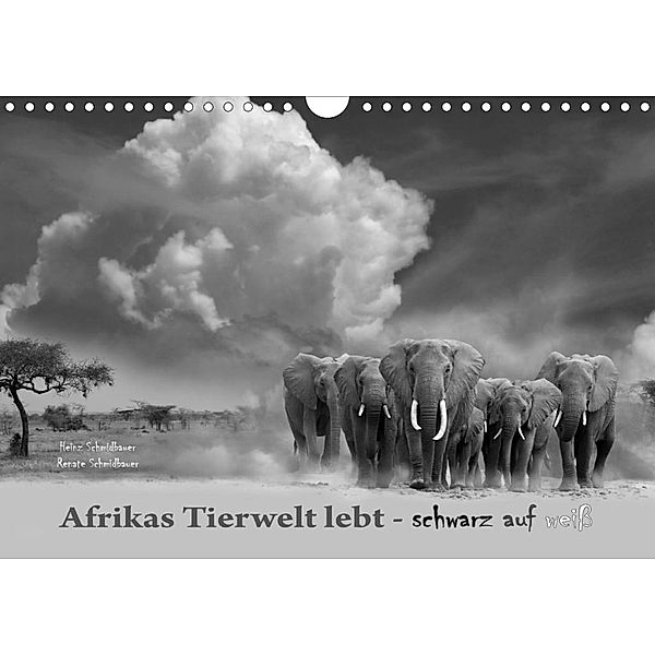 Afrikas Tierwelt lebt - schwarz auf weiß (Wandkalender 2020 DIN A4 quer), Heinz Schmidbauer