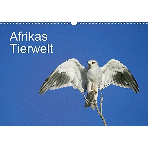 Afrikas Tierwelt (Posterbuch DIN A3 quer)