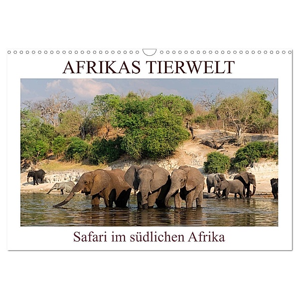 Afrikas Tierwelt, Safari im südlichen Afrika (Wandkalender 2024 DIN A3 quer), CALVENDO Monatskalender, Christian Heeb
