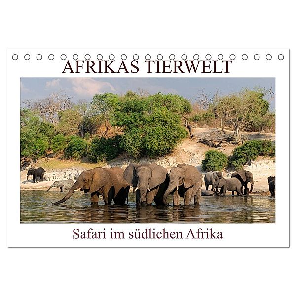 Afrikas Tierwelt, Safari im südlichen Afrika (Tischkalender 2025 DIN A5 quer), CALVENDO Monatskalender, Calvendo, Christian Heeb