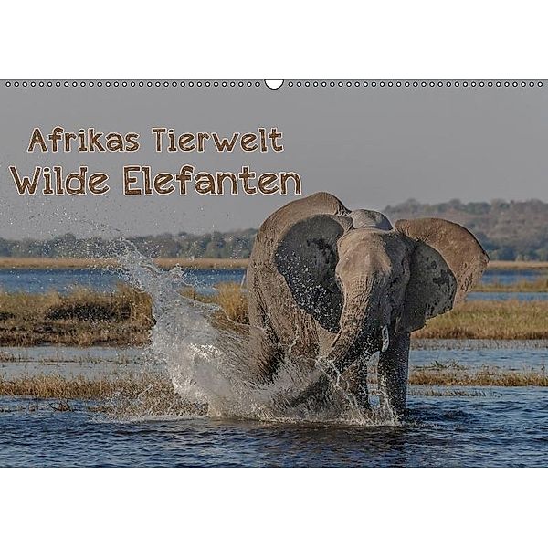 Afrikas Tierwelt - Wilde Elefanten (Wandkalender 2017 DIN A2 quer), Michael Voß