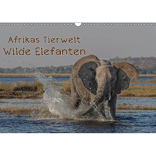Afrikas Tierwelt - Wilde Elefanten (Wandkalender 2019 DIN A3 quer), Michael Voß