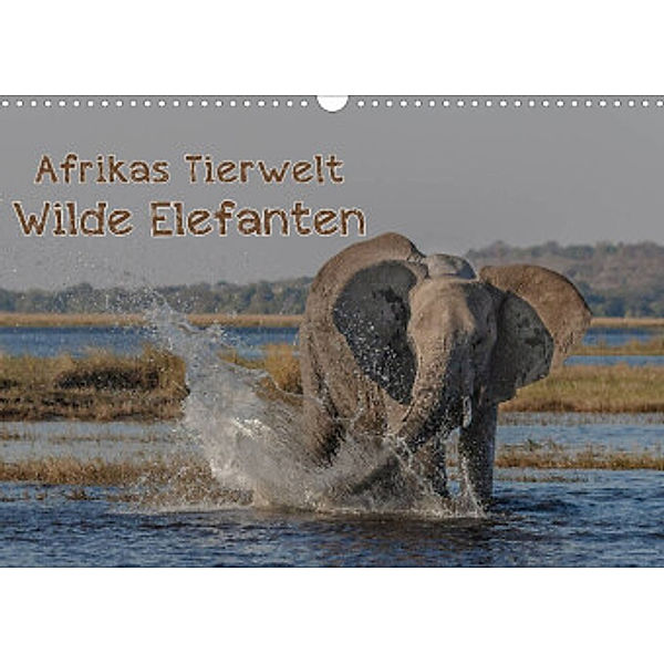 Afrikas Tierwelt - Wilde Elefanten (Wandkalender 2022 DIN A3 quer), Michael Voß