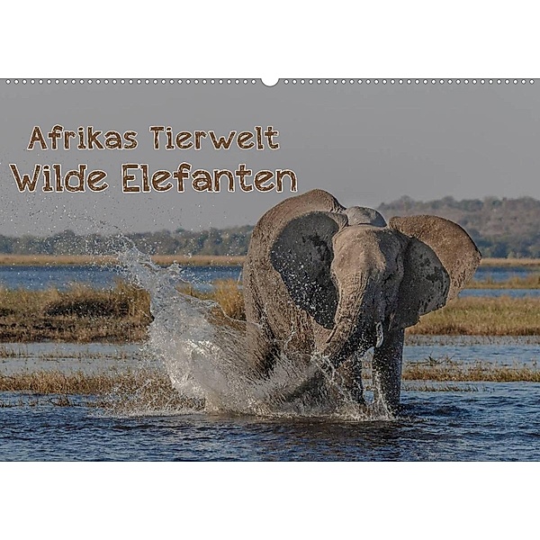 Afrikas Tierwelt - Wilde Elefanten (Wandkalender 2023 DIN A2 quer), Michael Voß