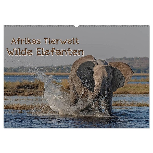 Afrikas Tierwelt - Wilde Elefanten (Wandkalender 2024 DIN A2 quer), CALVENDO Monatskalender, Michael Voss