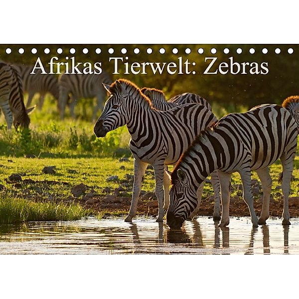 Afrikas Tierwelt: Zebras (Tischkalender 2018 DIN A5 quer), Michael Voß