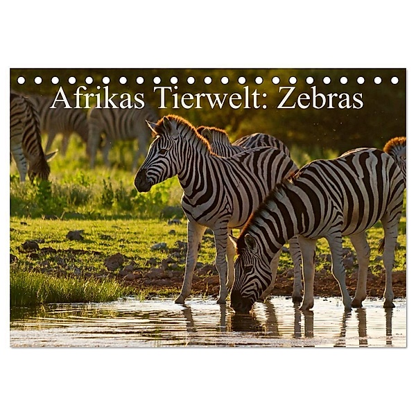Afrikas Tierwelt: Zebras (Tischkalender 2024 DIN A5 quer), CALVENDO Monatskalender, Michael Voß