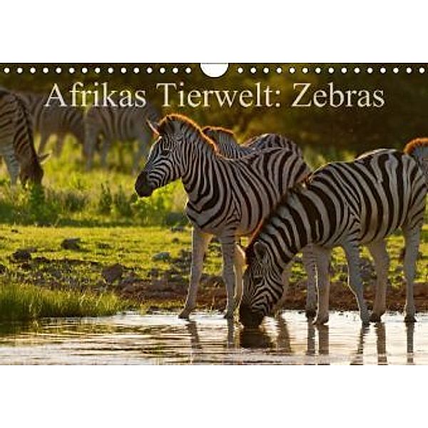 Afrikas Tierwelt: Zebras (Wandkalender 2015 DIN A4 quer), Michael Voß