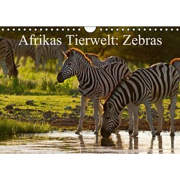 Afrikas Tierwelt: Zebras (Wandkalender 2016 DIN A4 quer), Michael Voß
