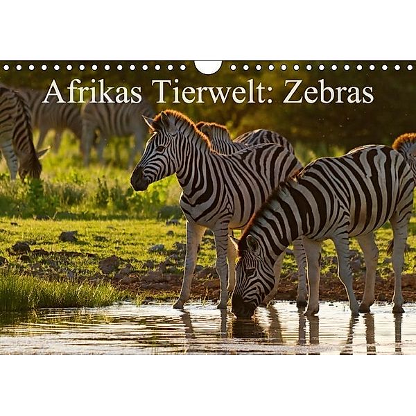 Afrikas Tierwelt: Zebras (Wandkalender 2017 DIN A4 quer), Michael Voß