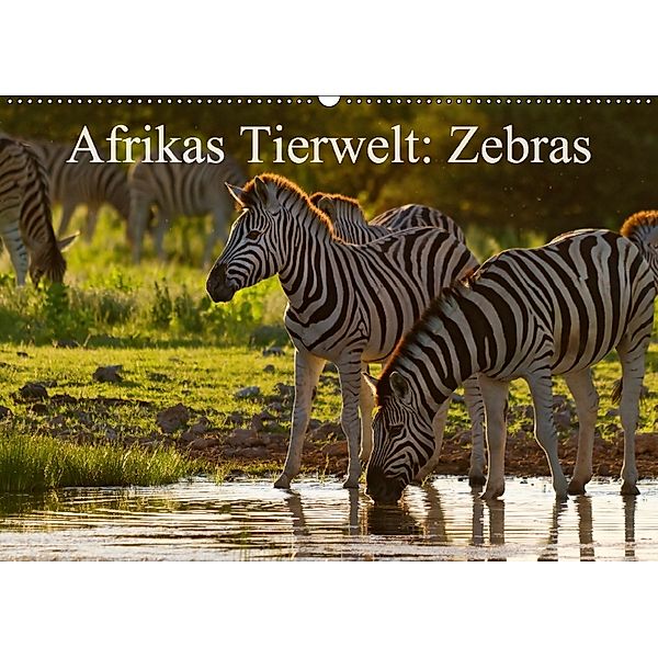 Afrikas Tierwelt: Zebras (Wandkalender 2018 DIN A2 quer), Michael Voß