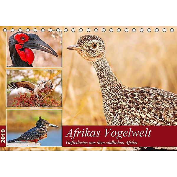 Afrikas Vogelwelt 2019 (Tischkalender 2019 DIN A5 quer), Wibke Woyke